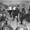 NFA Judging Competitions - 1935