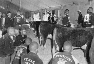 NFA Judging Competitions - 1935