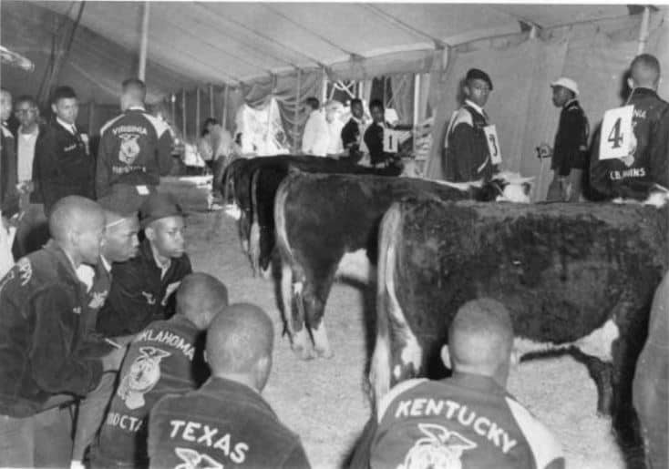 NFA Judging Competitions - 1935