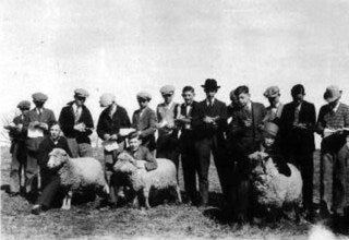 Judging Contest, ca. 1929.