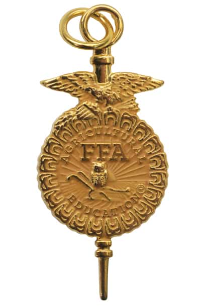Image result for american ffa degree