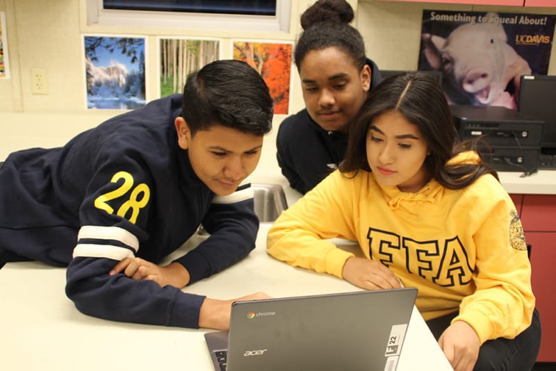 apply-for-an-ffa-scholarship-national-ffa-organization