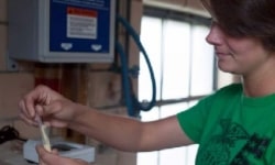 Milk Quality Featured Image