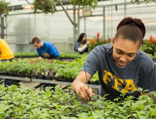 Dive Into Careers With AgExplorer