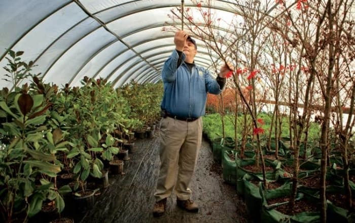 Nursery Landscape National Ffa Organization Career Overview Plant Systems