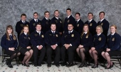 StarFinalists2017-600x337