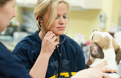 Veterinary Science - National FFA Organization