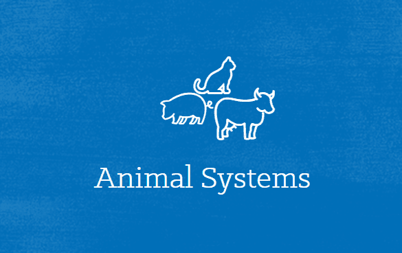 Lesson Plan: Animal Health Careers - National FFA Organization Lesson Plan: Animal Health Careers - National FFA Organization