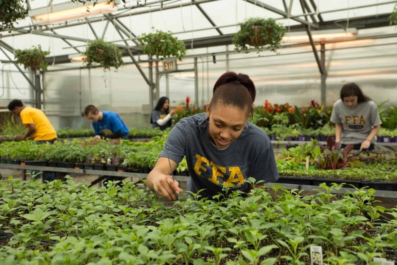 start exploring careers with agexplorer national ffa agriculture careers