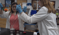 Katy Vacula 2018 Star in Agriscience Finalist