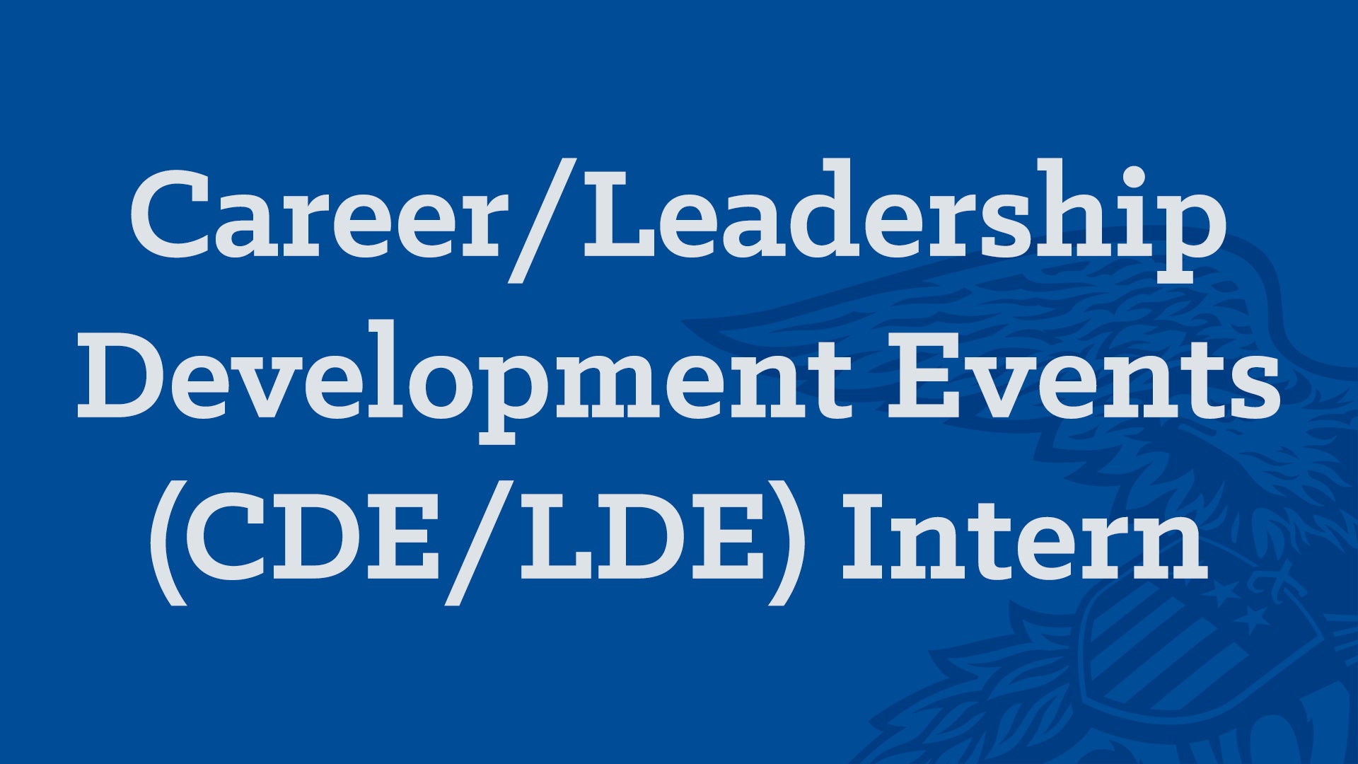 CDE-LDE Intern