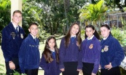 Puerto Rico FFA