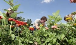 NextGen-Featured-Image