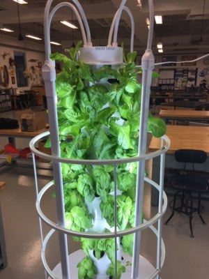 Tower Garden