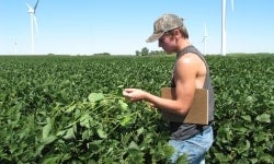 Nate Leystra crop scouting