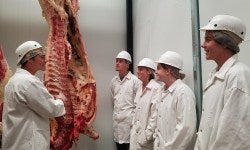 Missoula Meat Lab
