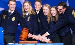 Gavel-Shot_Web-1620x1080 (1)