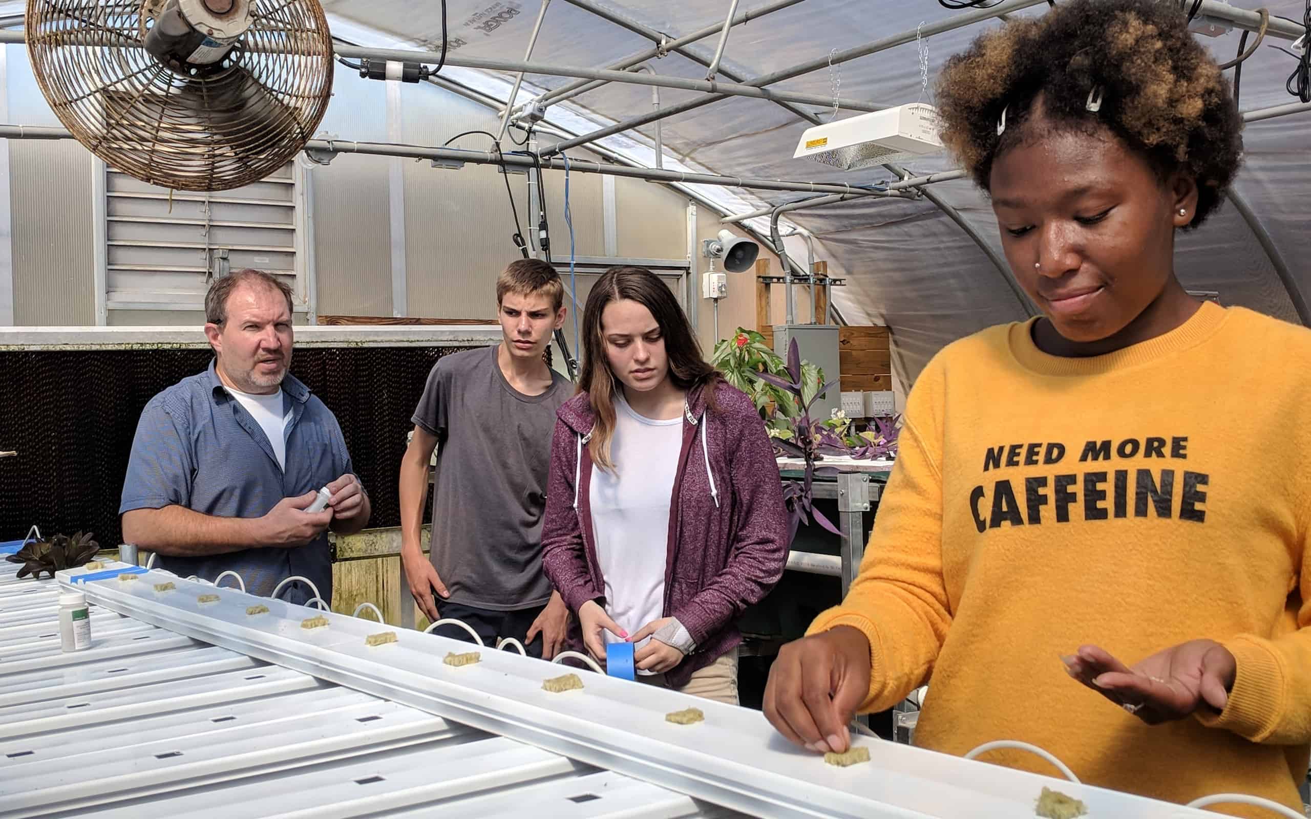 Anson FFA Greenhouse
