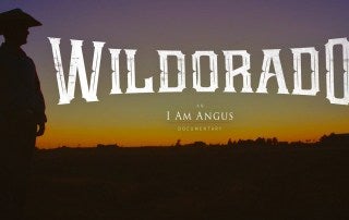 Wildorado