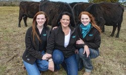 Lady Livestock Company