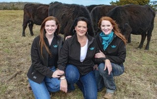 Lady Livestock Company