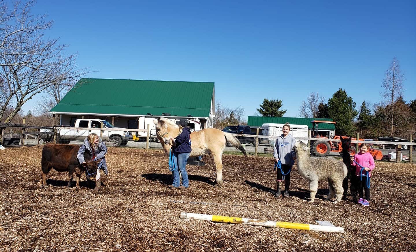 FFA Members Continue Doing to Learn and LTS During COVID-19 PR 600x400