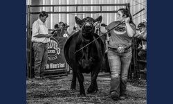 Covid-Fairs-Story-Featured-Image