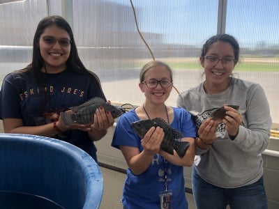 moore ffa aquaponics