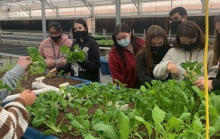 aquaponics system