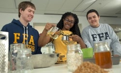 Owls Chat: Food Products & Processings Systems Pathway