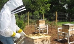 Aidan Bobholz of the Randolph-Cambria Friesland FFA