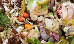 Food waste