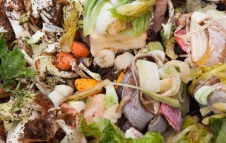 Food waste