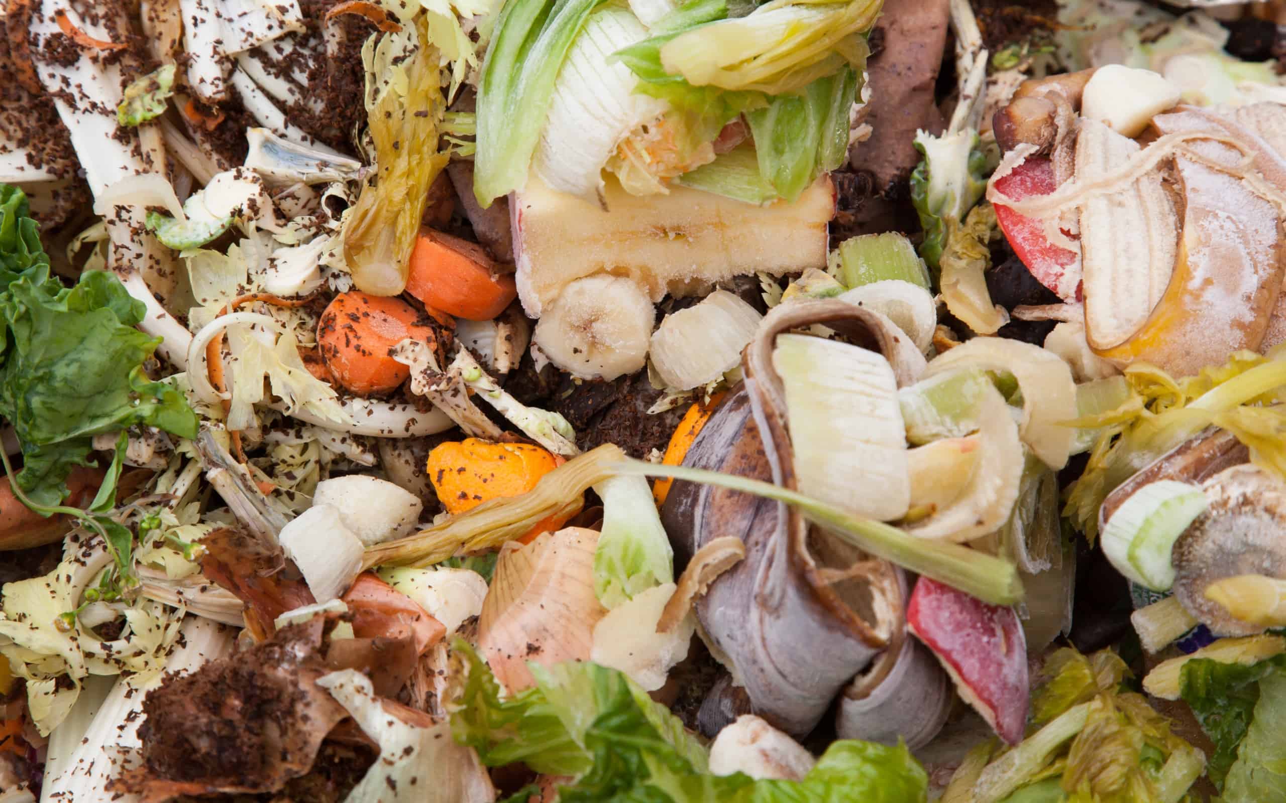 Food waste