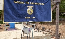 John Jay FFA