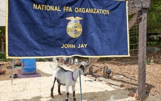 John Jay FFA