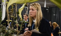 Nursery Landscape Plant ID