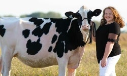 Dairy SAE Record Book