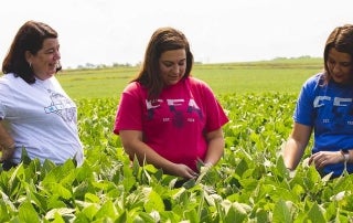 Soybean Biodiesel