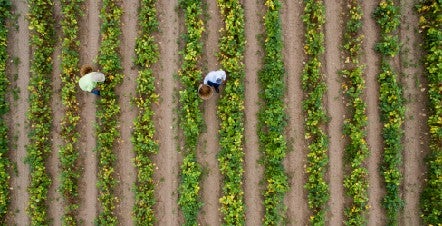 National AgDay Homepage