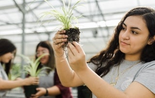 Earth Day Activities