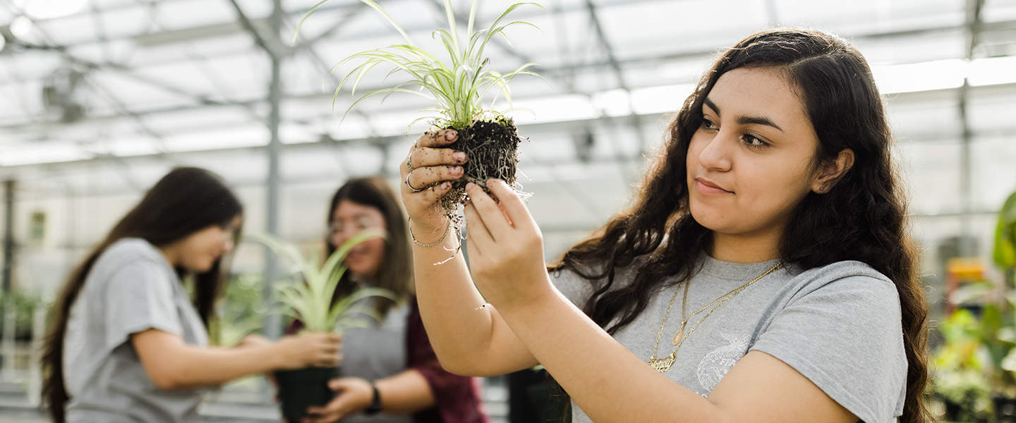 Earth Day Activities