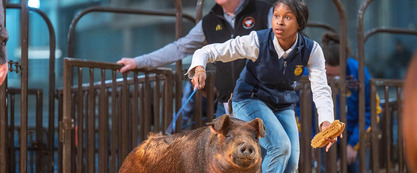 FFA Member Enjoys the Show - National FFA Organization