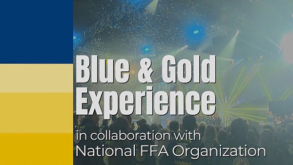 Blue & Gold Experience - 600x338