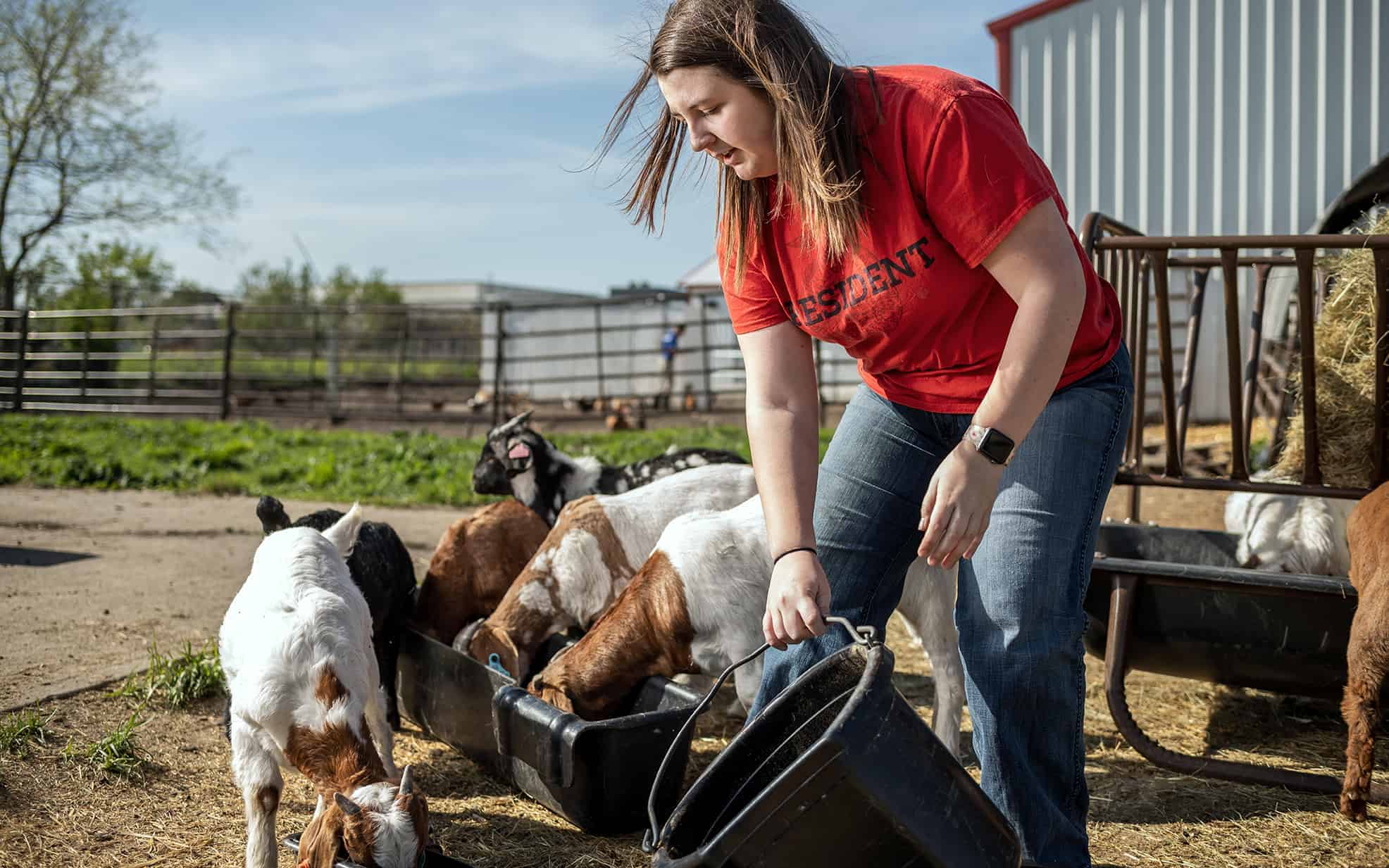 FFA DesMoines | Livestock