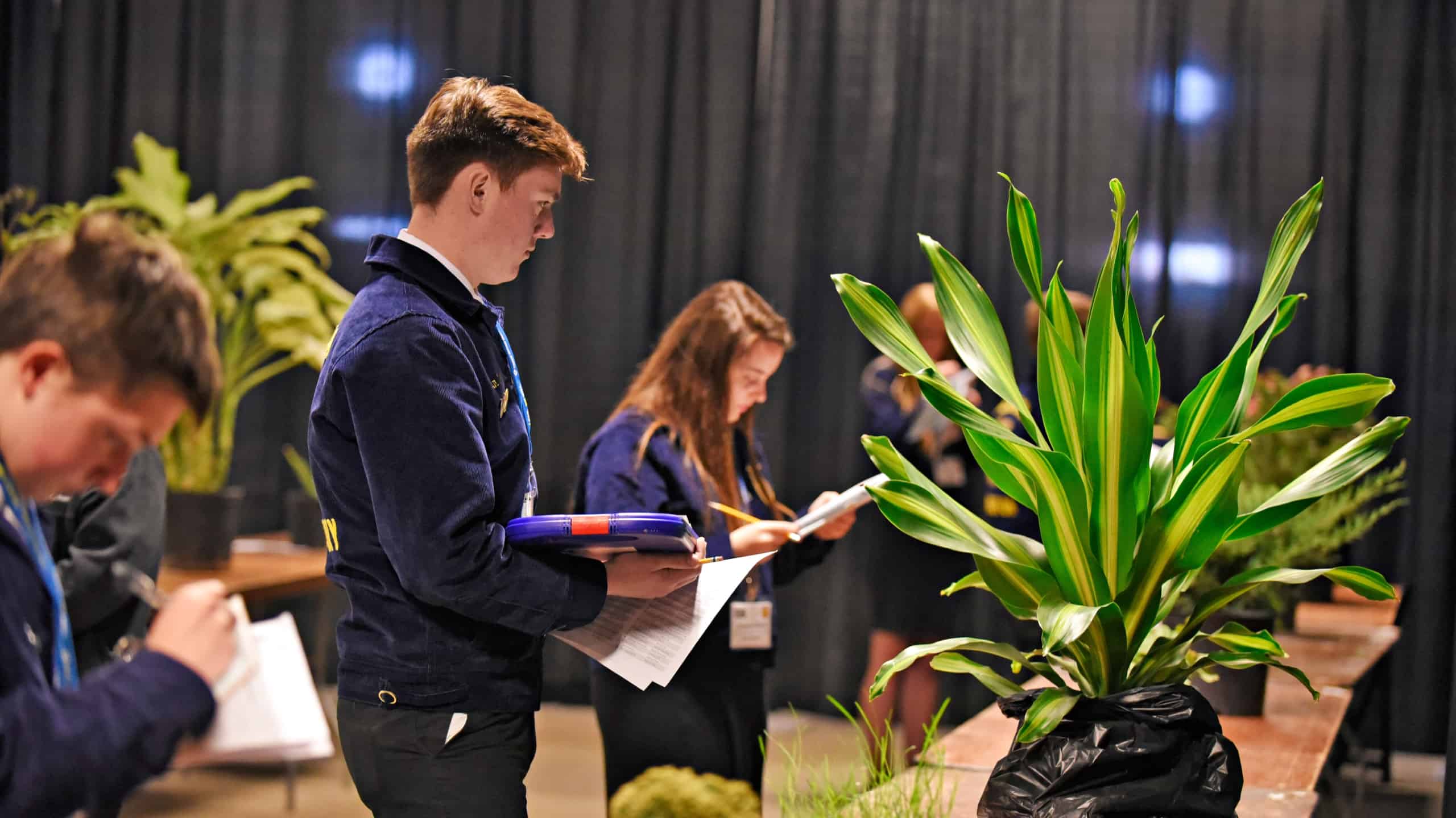 Tips For Selecting A CDE Or LDE National FFA Organization Tips For Selecting A CDE Or LDE National FFA Organization
