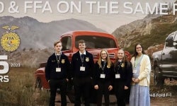 Bamberg Ehrhardt FFA - 1440x600