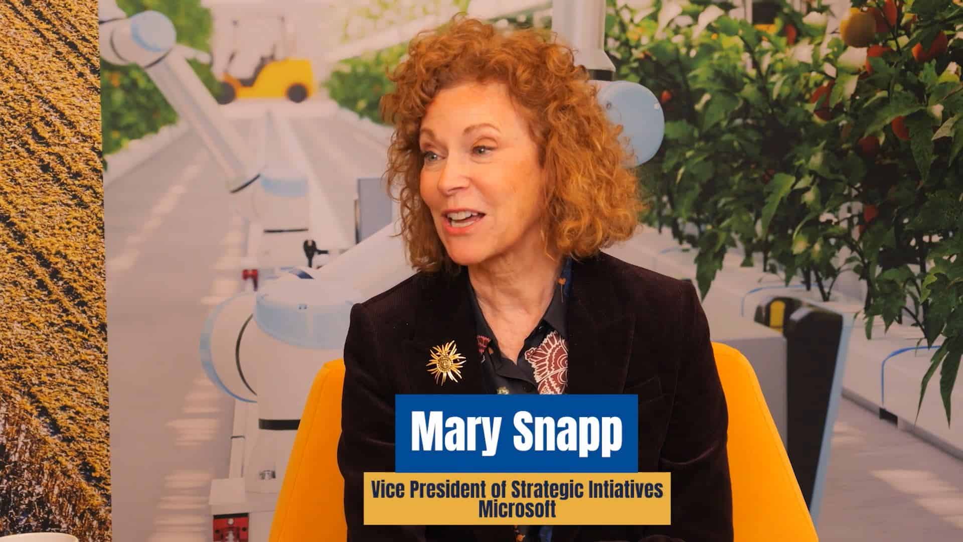 Mary Snapp - Microsoft