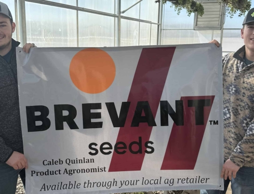 Chapters Turn the Bag Blue and Gold With Brevant Seeds