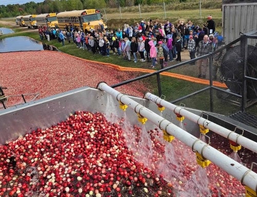 The Cranberry Classroom